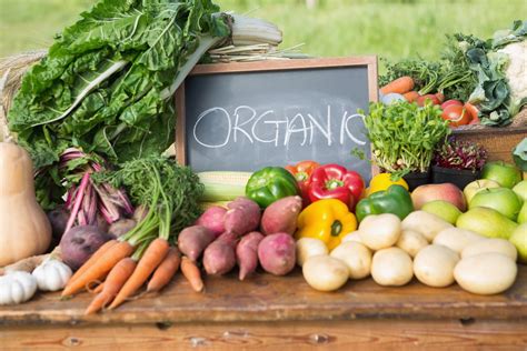 ORGANIC FARMING OF VEGETABLE CROPS: NEEDS AND …