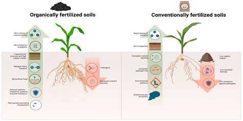 Organic fertilization promotes crop productivity through changes in ... - raincitystudios.com