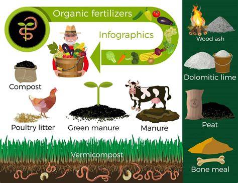 Organic Fertilizer and Manure Application - Rehoboth … - raincitystudios.com