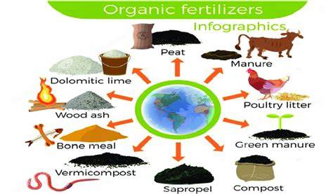 Organic Fertilizers: A Comprehensive Guide - Wikifarmer - raincitystudios.com