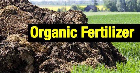 Organic Fertilizers and Manure - animal based fertilizer … - raincitystudios.com