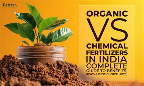 Organic Fertilizers in India - Amruth Organic Fertilizers - raincitystudios.com