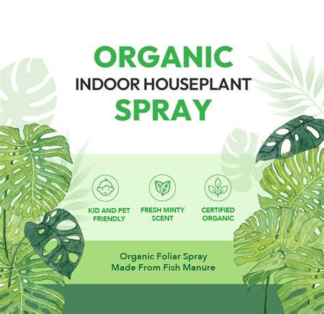 Organic Indoor Houseplant Spray - Liquid Plant Food in a Spray Bottle ... - raincitystudios.com