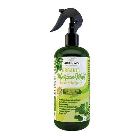 Organic Kelp Foliar Spray for Fiddle Leaf Fig Ficus Liquid Plant Food ... - raincitystudios.com