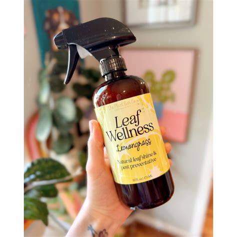 Organic Leaf Wellness Spray for Plants - raincitystudios.com
