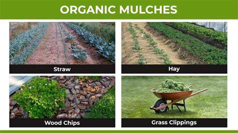 Organic Mulches - Benedict Industries - raincitystudios.com
