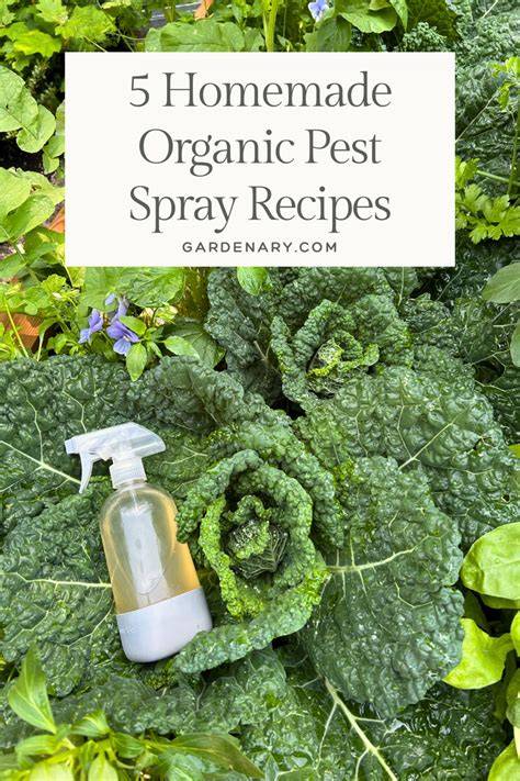 Organic Pest Spray - Burke's Backyard - raincitystudios.com