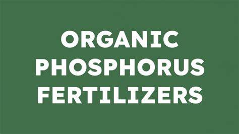 Organic Phosphorus Fertilizers, Organic Phosphorus … - raincitystudios.com
