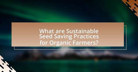 Organic Seed Saving Tips for Sustainable Farming - raincitystudios.com