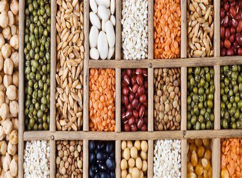 Organic Seeds - Vital Seeds - We help you grow food - Buy online now - raincitystudios.com