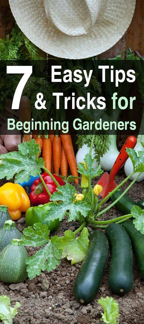 Organic Vegetable Gardening Information, Tips, Tricks, And Tools. - raincitystudios.com