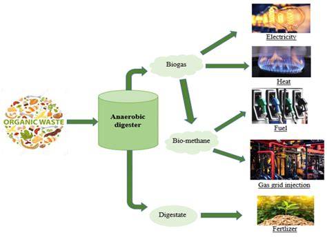 Organic waste conversion through anaerobic digestion: A critical ... - raincitystudios.com