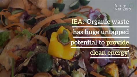 Organic waste has huge untapped potential to provide clean energy ... - raincitystudios.com