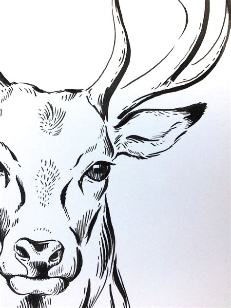 ORIGINAL Zeichnung Hirsch minimalistische Zeichnung Bild Etsy