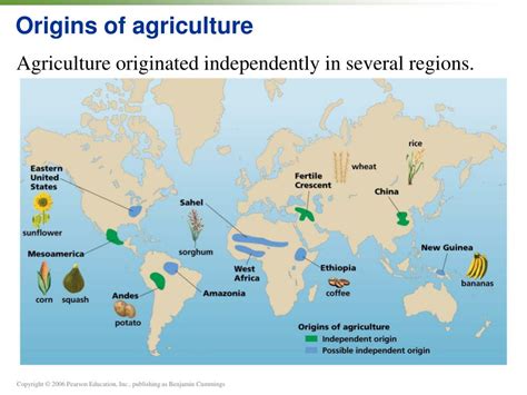 Origins of agriculture - New Techniques, Domestication, Irrigation ... - wintechmobiles.com