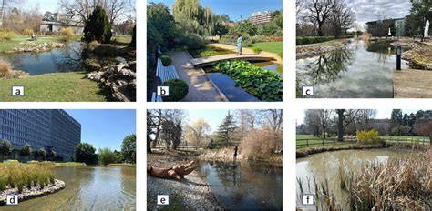 Ornamental ponds as Nature-based Solutions to implement in cities - raincitystudios.com