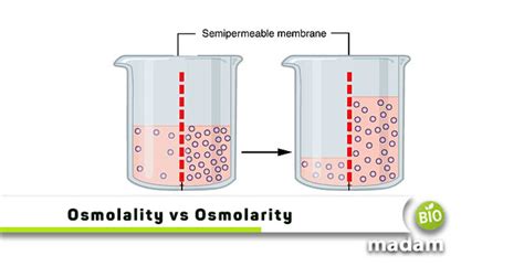 OSMOLALITY AND OSMOLARITY - - Atlas Biologicals - wintechmobiles.com