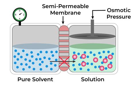 Osmotic concentration - wintechmobiles.com