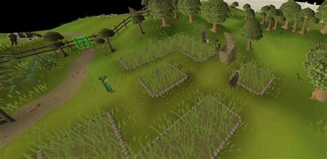 OSRS Farming Guide For Beginners