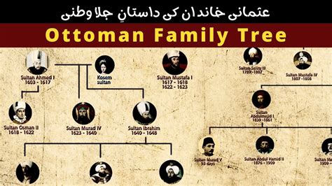 Ottoman family tree - wintechmobiles.com
