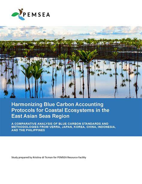 Our blue carbon program | Conservation International - raincitystudios.com
