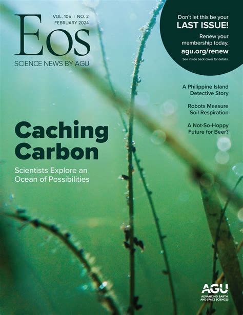 Our Evolving Understanding of Biological Carbon Export - Eos - raincitystudios.com