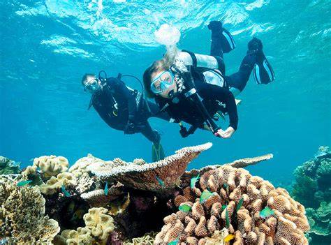 Our Marine Conservation Projects in Placencia, Belize - raincitystudios.com