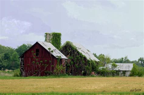 OVERGROW FARM