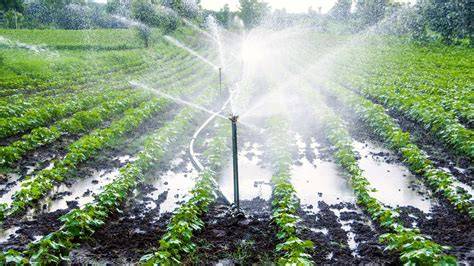 Overhead Irrigation Systems - High Efficiency Farm Solutions - raincitystudios.com