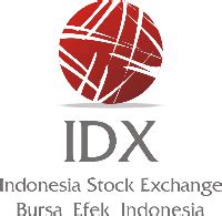 Overview and History of IDX - coolestguyplanet.net