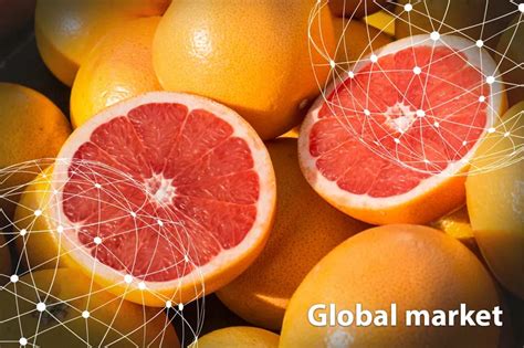 OVERVIEW GLOBAL GRAPEFRUIT MARKET - FreshPlaza