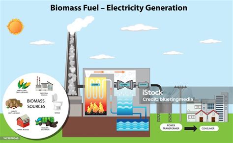 Overview of Biomass Conversion to Electricity and ... - ScienceDirect - wintechmobiles.com