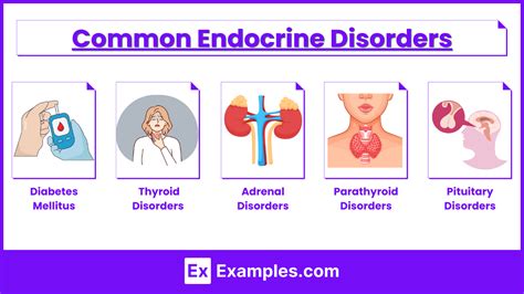 Overview of Endocrine Disorders - Endocrine and Metabolic Disorders ... - muktibox.com
