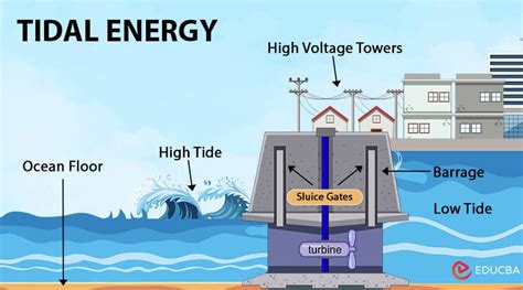 Overview of Generation of Electricity using Tidal Energy - wintechmobiles.com