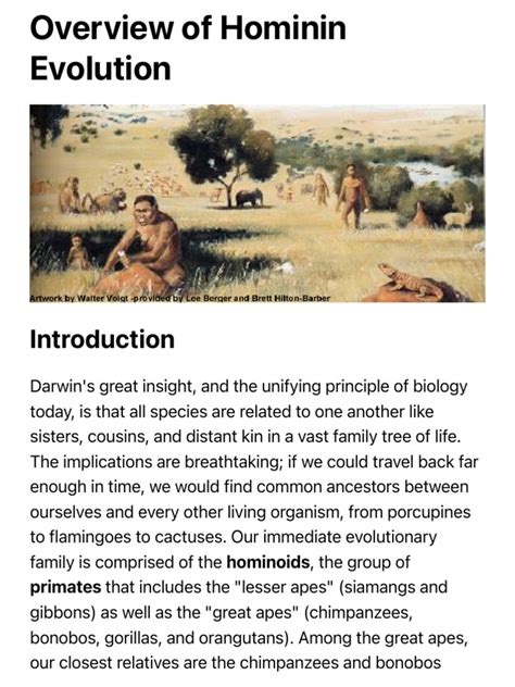 Overview of Hominin Evolution | Learn Science at Scitable - Nature - wintechmobiles.com