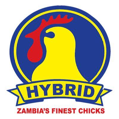 Overview Of Poultry Farming Sector In Zambia By Analysing Hybrid ... - raincitystudios.com