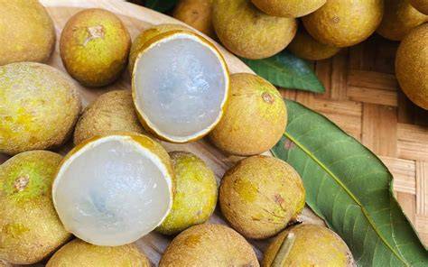 OVERVIEW OF VIETNAMESE FRESH LONGAN FRUIT - VKOILL GROUP - raincitystudios.com