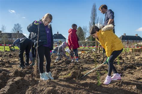 OVO Foundation has helped to plant 12 Tiny Forests to connect ...