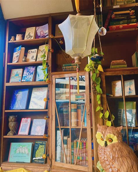 Owl and Company Bookshop - coolestguyplanet.net