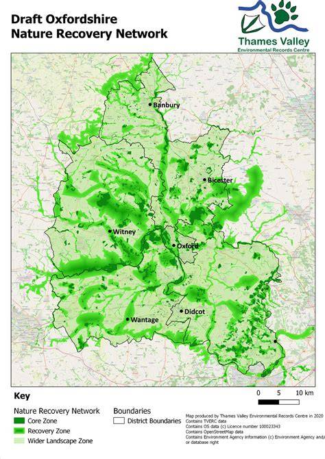 Oxford Nature Network | Invertebrates - Oxford … - raincitystudios.com
