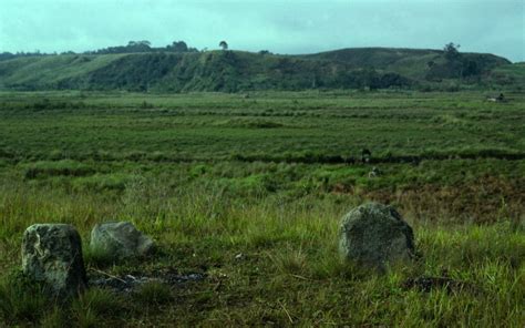 oxis.org - wintechmobiles.com