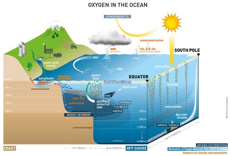 Oxygen in the Earth System - MDPI - raincitystudios.com