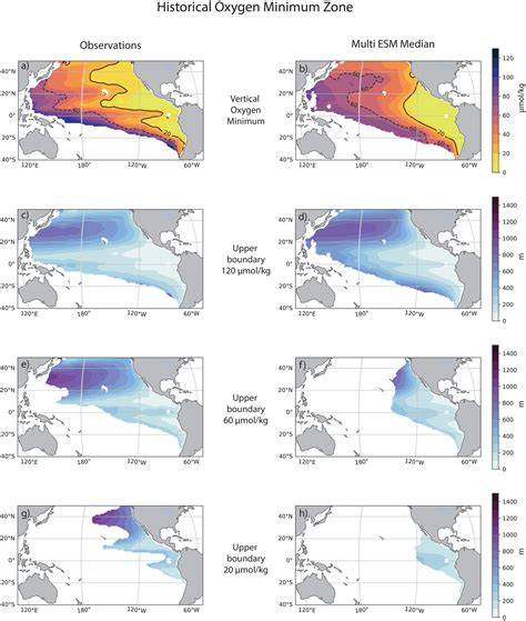 Oxygen Minimum Zone | Springer Nature Link - raincitystudios.com