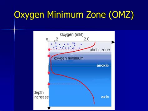 Oxygen minimum zone - raincitystudios.com