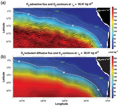 Oxygen Pathways and Budget for the Eastern South … - raincitystudios.com