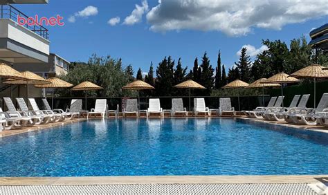 codini.rgarabwor.edu.pl. 