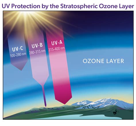 Ozone Layer Protection | US EPA - wintechmobiles.com