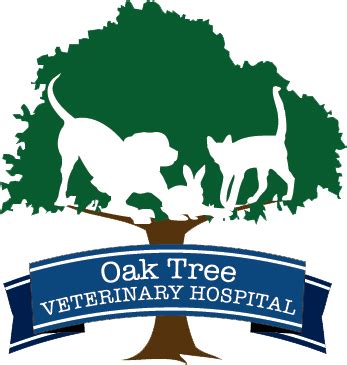Oak tree animal clinic. Only 12% of all small animal veterinary practices in the U.S. have achieved accreditation by the American Animal Hospital Association (AAHA). In order to maintain accreditation, Oak Tree must continue to be evaluated regularly by the association's trained consultants in more than 900 standards covering patient care, client services, medical ... 