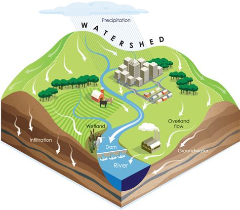 Oakland Hills Watersheds Health of the Watershed System …