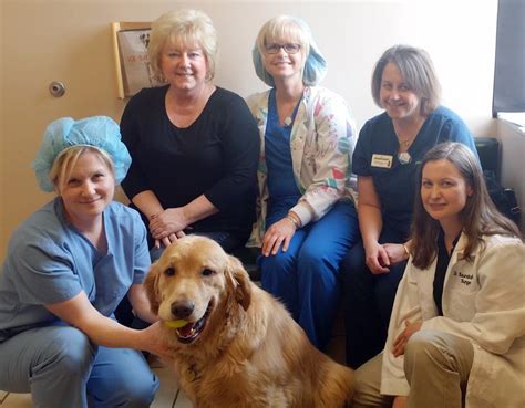Oakland veterinary referral services. OAKLAND VETERINARY REFERRAL SERVICES - 104 Photos & 190 Reviews - 1400 S Telegraph Rd, Bloomfield Hills, Michigan - Veterinarians - Phone Number - Yelp. 